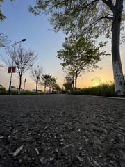 25F30102-18E0-41DB-AF7A-295F48ED1177/L0/001