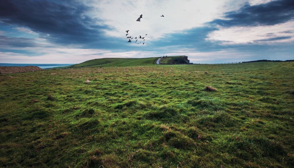 Galway