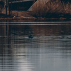 466751