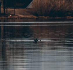 466749