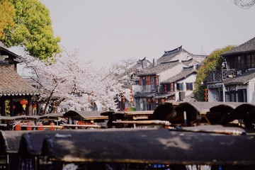 D0F84C61-BAC4-44D0-AC4C-9DB7D71453C6/L0/001