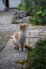 A6552393-AE5E-45D7-88A2-C840FDEFEFC1/L0/001