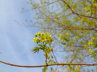 96B29E69-FE34-4207-885C-CD0D6838389A/L0/001