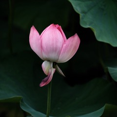 001