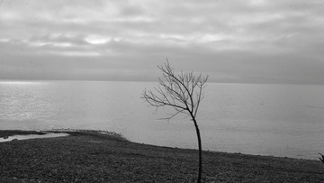4EDDFE7E-778B-4FDD-AEAF-F2817C26F4AB/L0/001