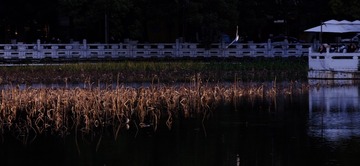 D31BDBD1-A64E-427F-8584-DD7C36A222F1/L0/001