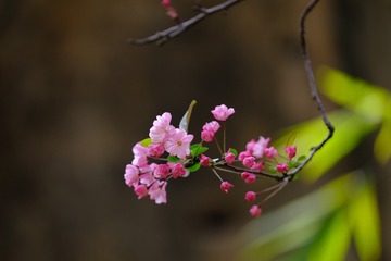 CD2F6399-8AD9-4F8A-A626-27EB481FFE34/L0/001