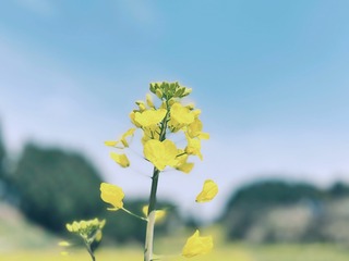 C04BA851-13EB-4B3A-B57B-48A4D5761D4B/L0/001
