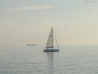 C3C877AF-A029-4149-9E69-4A780E7A1AC8/L0/001