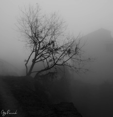 0803EFF9-7C5E-4667-8674-AB3967E8F9D5/L0/001