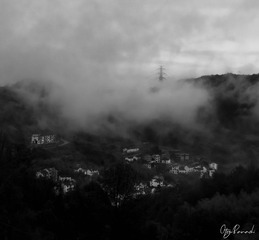 8406C2D4-EF5A-4965-BC51-975D5CCD8F0C/L0/001