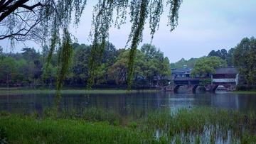 4D61C618-97C6-43DF-A5E2-156D679C992E/L0/001