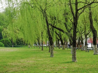 E9587001-3DF0-458C-BC4D-CBBA82BD5CC1/L0/001