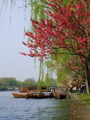 EE376077-D577-48A9-B08F-FF95F404CB39/L0/001