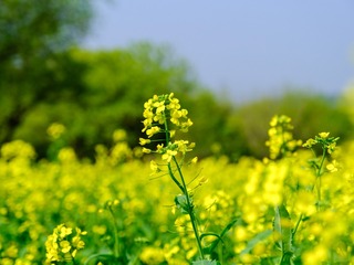 06B8112A-83BA-4FFF-974A-C1E2C6ADCCAF/L0/001
