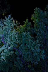 B7967F82-1055-477A-B999-136ADDD36770/L0/001