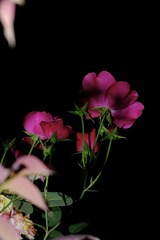 C9AC41BA-A197-4B76-9615-FAC07384AB5F/L0/001