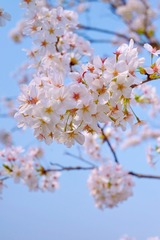 17110757-194B-47CE-96A8-385E32CF6149/L0/001