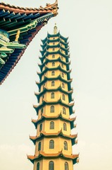 OOO_7374-3.jpg