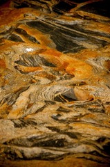 OOO_7463-2.jpg