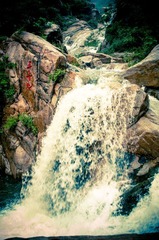 OOO_7464-5.jpg