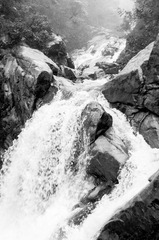 OOO_7467-3.jpg