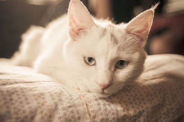 OOO_8379-4.jpg