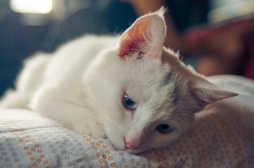 OOO_8382-6.jpg