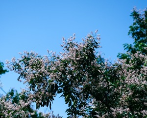 25306A59-D677-40F2-80DD-D14F56ACA732/L0/001