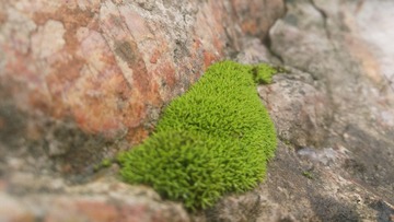 6750