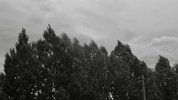 910D864E-9340-4B2B-B559-40BE148E82E5/L0/001