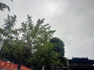 9305