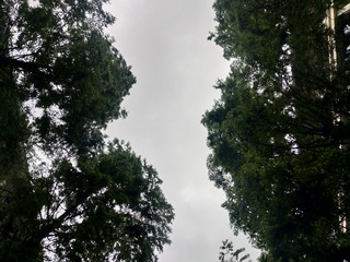 12076