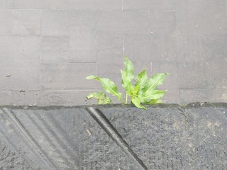 9343