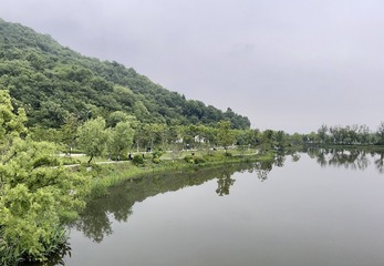 59C325C6-EE7F-409E-A2F1-9F7A4CE567D6/L0/001