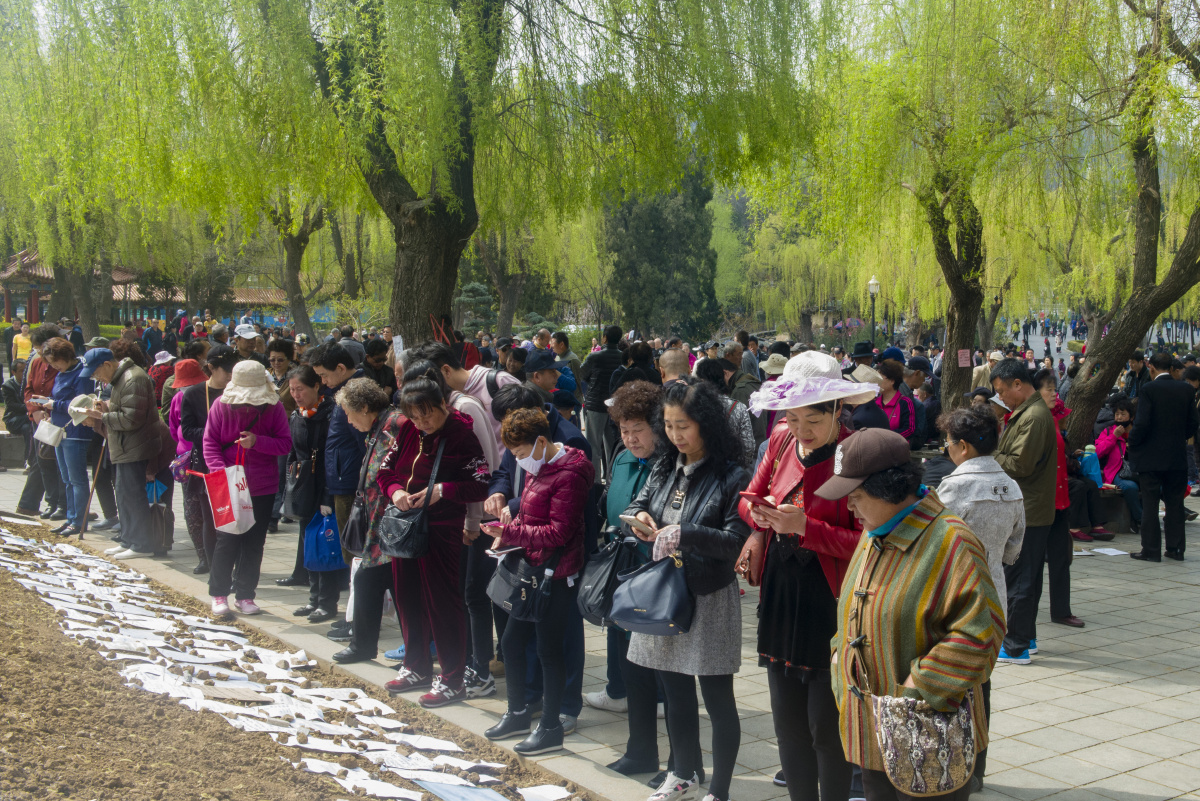 劳动公园相亲角