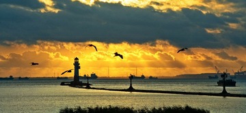 DSC_3971-1.jpg