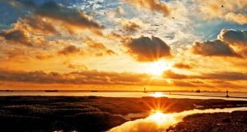 DSC_4124-1.jpg