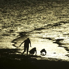 DSC_6762-2.jpg
