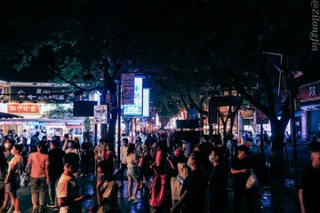 1330629