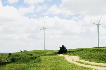 6D2F6BC5-9D77-480A-9F0E-99228386D6B1/L0/001