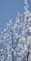 6161DF1B-707A-445F-B3BD-A52C1621BFC2/L0/001