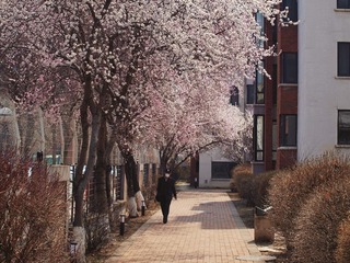 16F02DD7-27F5-42DB-B00F-CDC851203E0D/L0/001