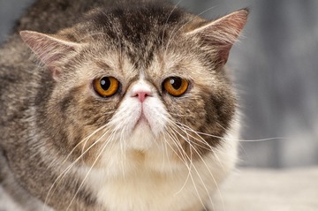 48148