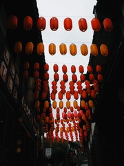 5D0A7F79-3A00-42BA-8FFE-9BF229AE8F1D