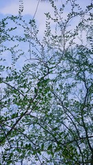 B29639EE-956B-4B9B-8E55-3BE270665894/L0/001