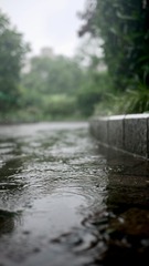 E8776149-7BF1-4D41-ABF3-9B6F84C30047/L0/001