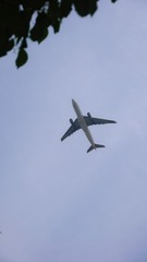 C4393891-A26D-4C09-B9DE-8F4FEE75D892/L0/001