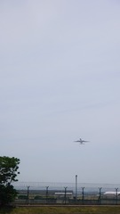 E5D57D67-6E5D-460C-BB92-D49DBC04A1CA/L0/001