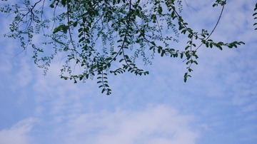 1488DF67-F2F2-4906-98DA-D70FD0C0D93B/L0/001